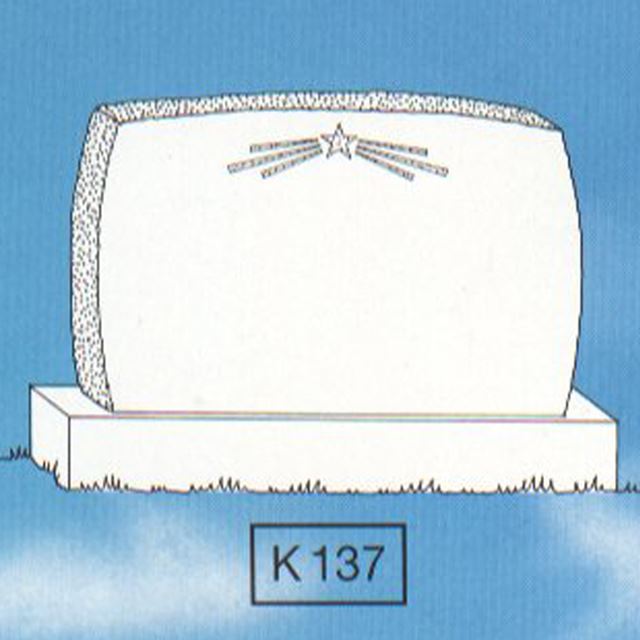 Picture of K137