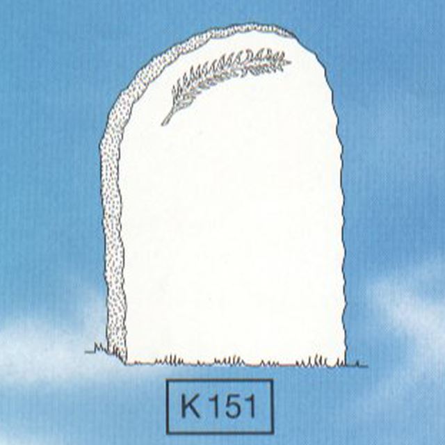 Picture of K151