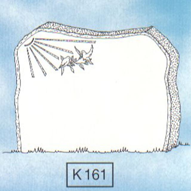 Picture of K161