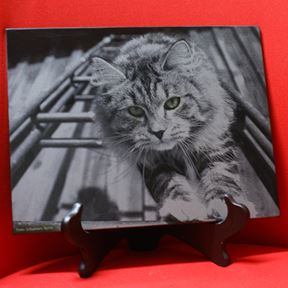 Bild på Fotobild marmor 28,5x21 rekt.