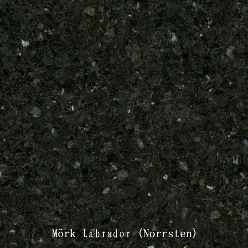 Mörk Labrador