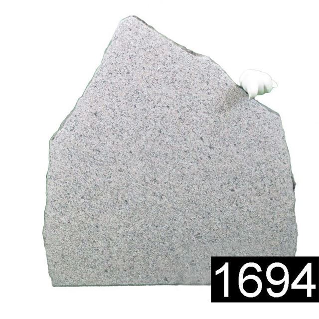 Picture of Lagersten 1694