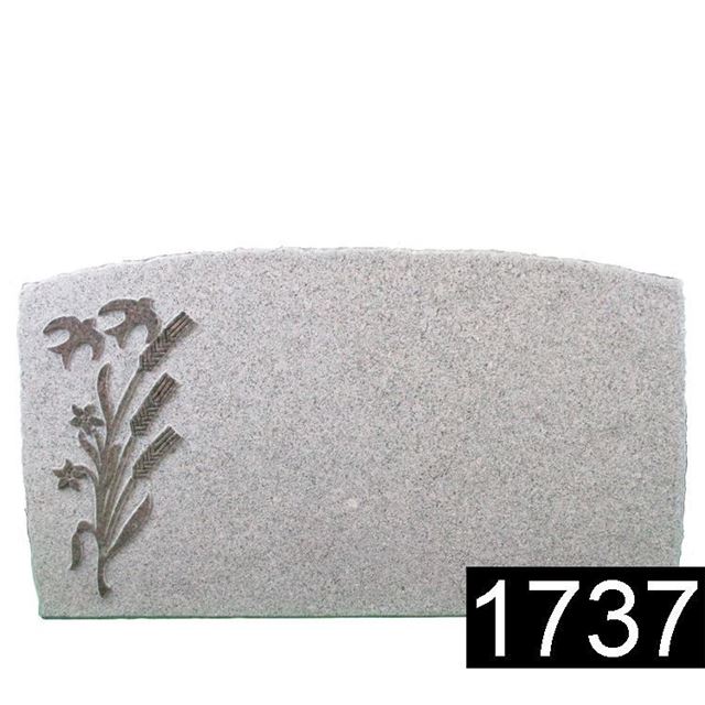 Picture of Lagersten 1737