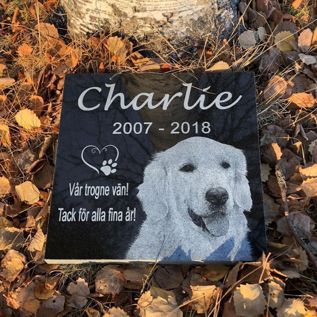 Picture of Fotobild granit 30x30x3 cm